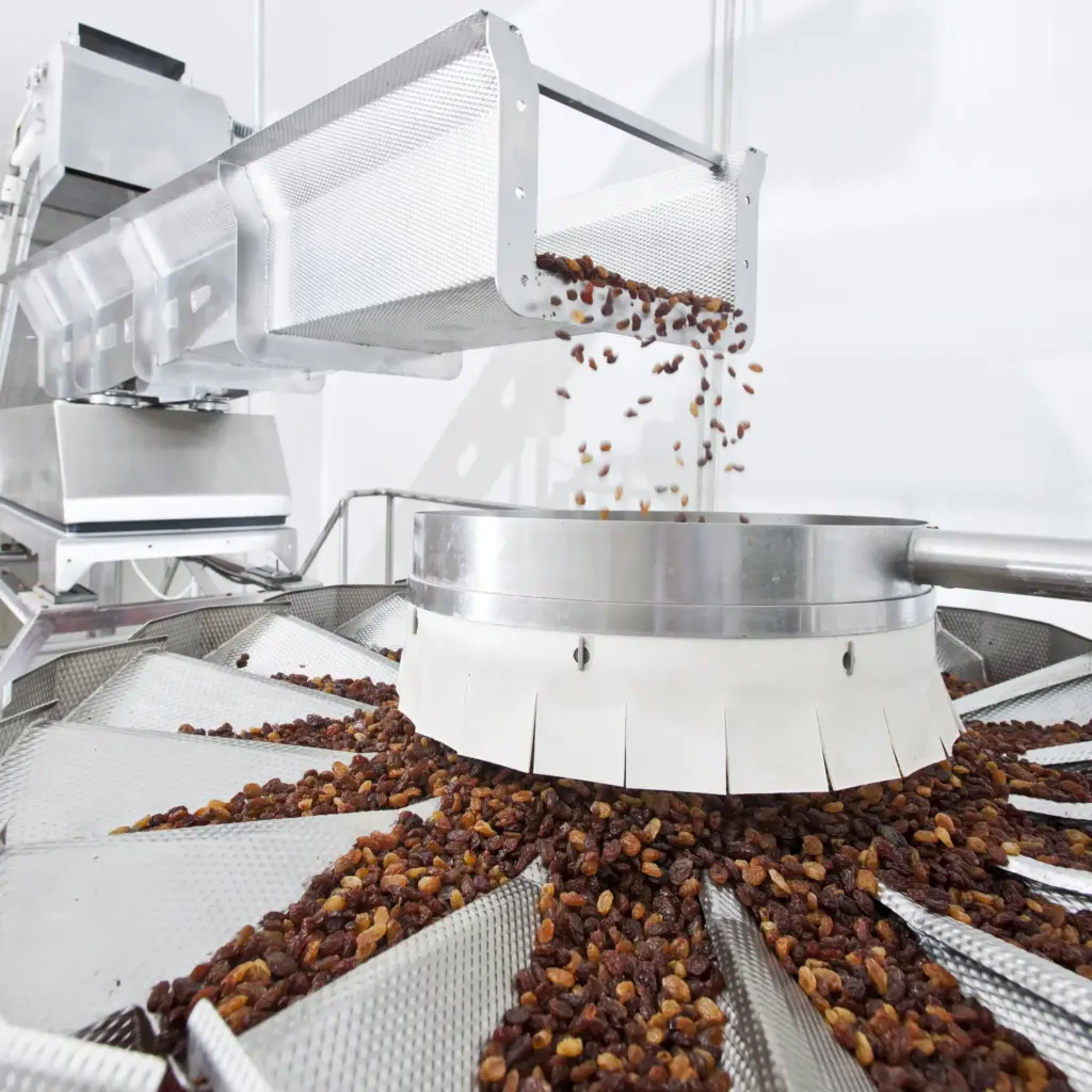 As máquinas de peneiramento de alimentos separam as passas numa correia transportadora.